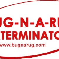 Bug-N-A-Rug