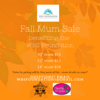 Fall Mum Sale